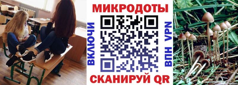 магазин продажи наркотиков  Эртиль  Галлюциногенные грибы MAGIC MUSHROOMS 