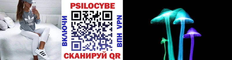 Галлюциногенные грибы Psilocybine cubensis Эртиль